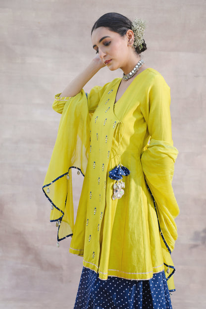 Afsheen - Yellow Chanderi Angrakha Shirt with Sharara