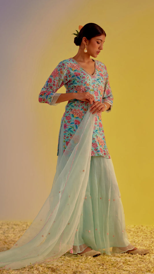 Aabru - The Light Blue Sharara Set