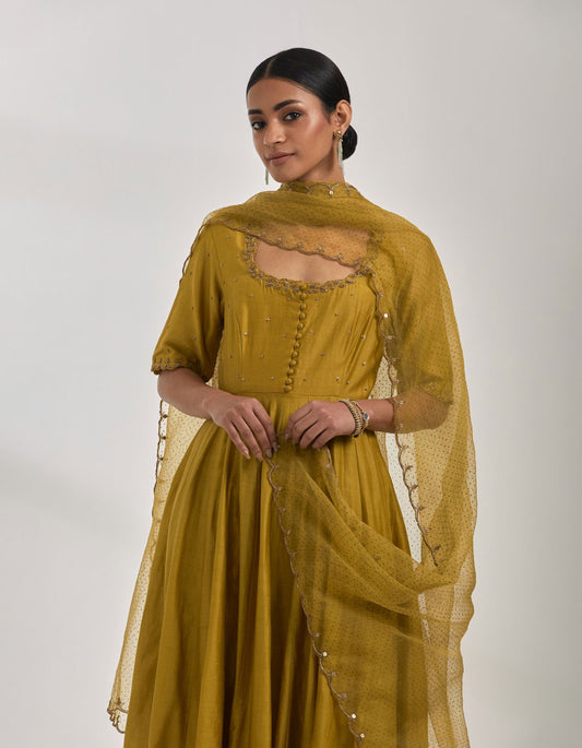 Chandana - Mustard Gold Anarkali