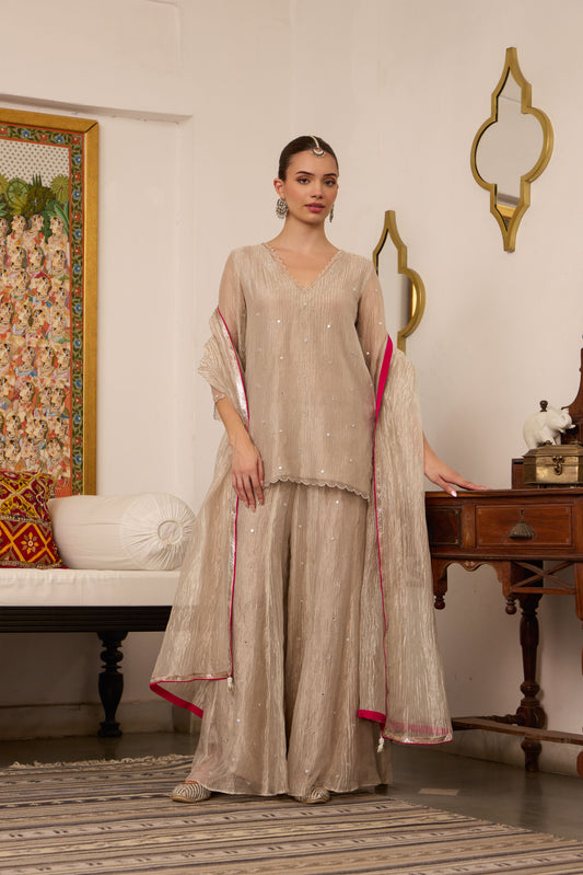 Janaki - The Tissue Sharara Set