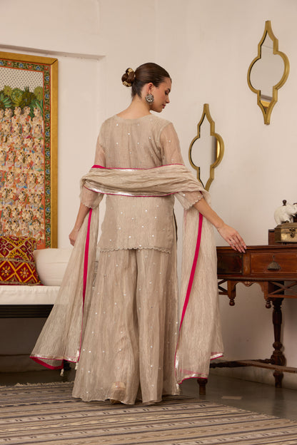 Janaki - The Tissue Sharara Set