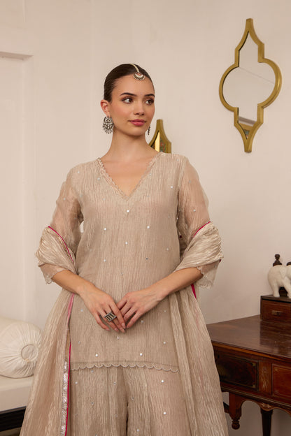 Janaki - The Tissue Sharara Set