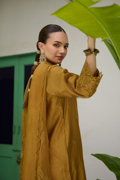 Swara - The Mustard Farshi Salwar set