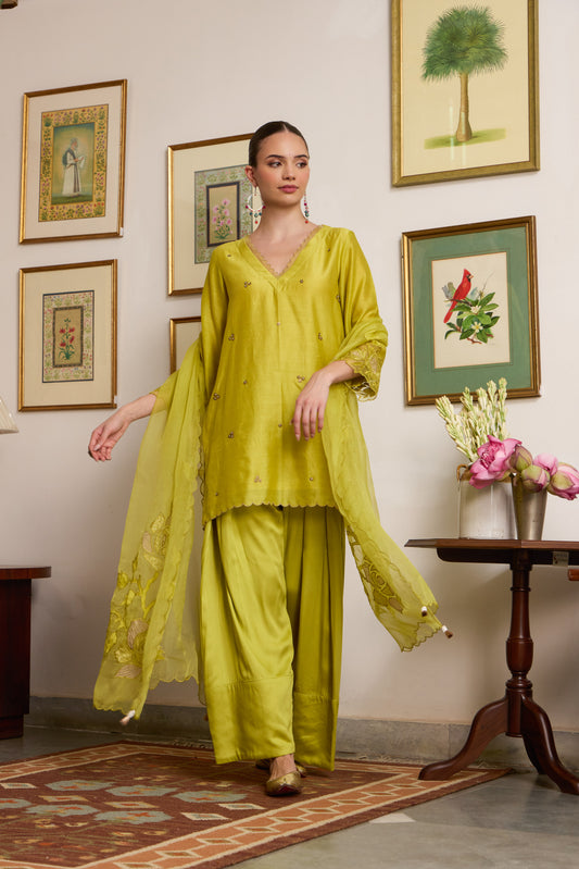 Swara - The Green Farshi Salwar set