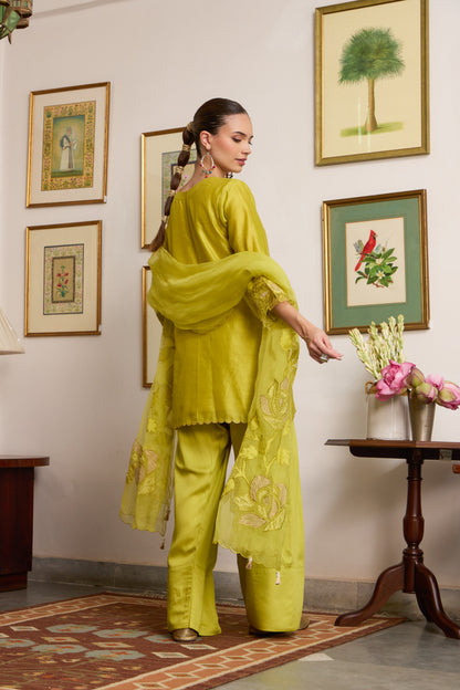 Swara - The Green Farshi Salwar set