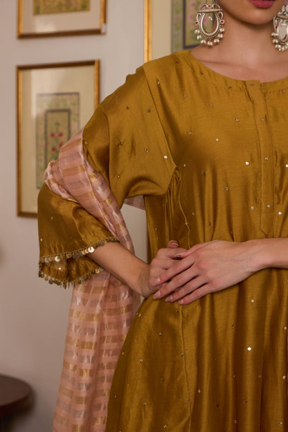 Indrakshi - The Mustard Mukaish Set