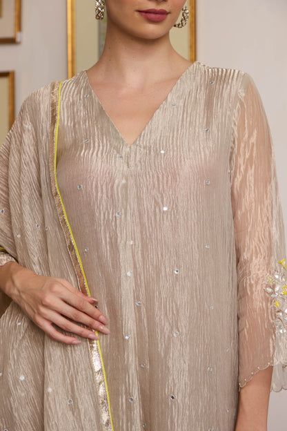 Chaand - The Tissue Kurta Set