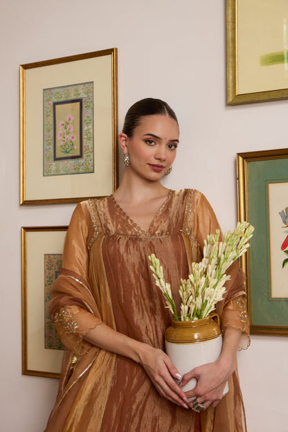 Suvarna - The Rust Orange Dual Colour Tissue Set