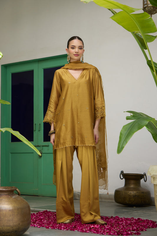 Swara - The Mustard Farshi Salwar set