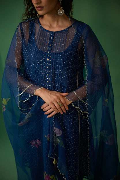 Ekaya - Blue kurta set