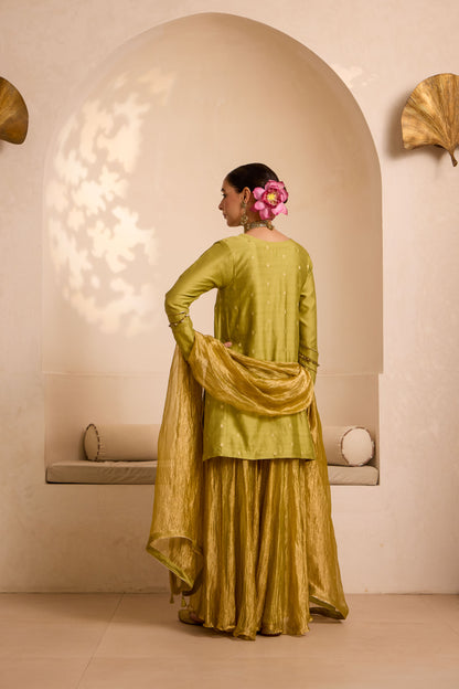 Fariah - The Green Sharara Set