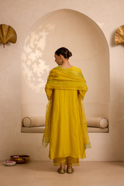 Fairoz - The Yellow A Line Suit Set