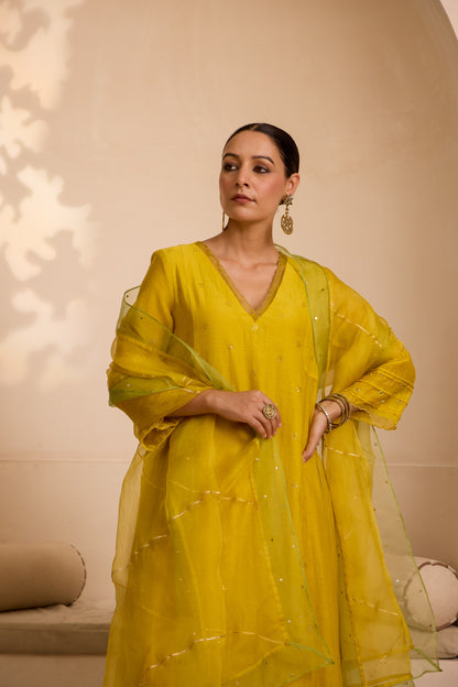 Fairoz - The Yellow A Line Suit Set