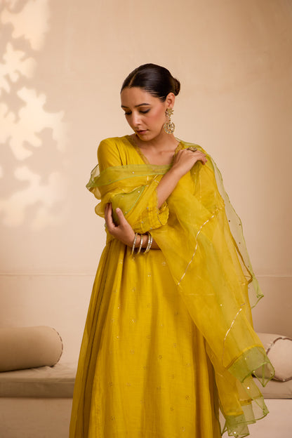 Fairoz - The Yellow A Line Suit Set