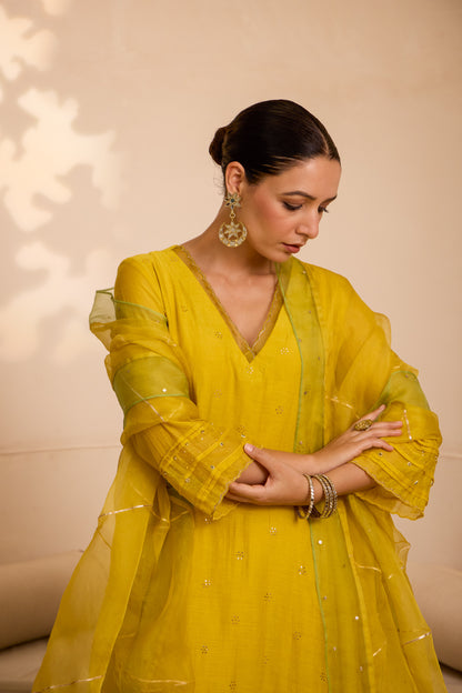 Fairoz - The Yellow A Line Suit Set