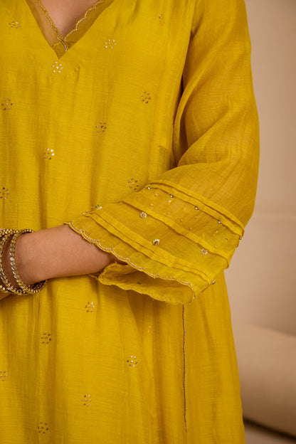 Fairoz - The Yellow A Line Suit Set