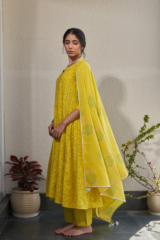 Meera - The Yellow A-Line Kurta Set